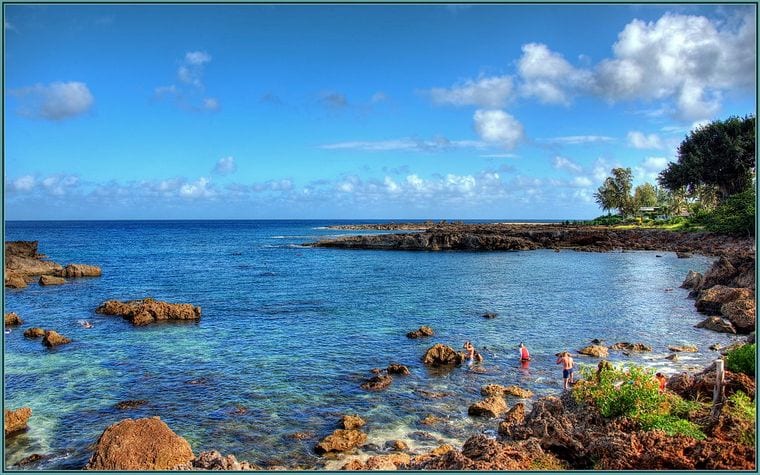 Sharks Cove