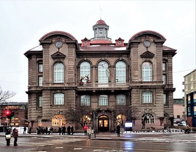 Finnish Museum of Natural History