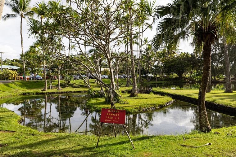 Richardson Ocean Park