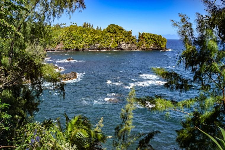 Onomea Bay Trail