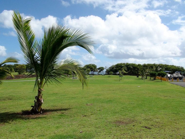 Isaac Hale Park