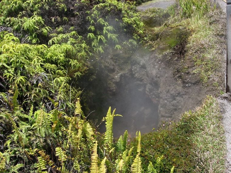 Steam Vents