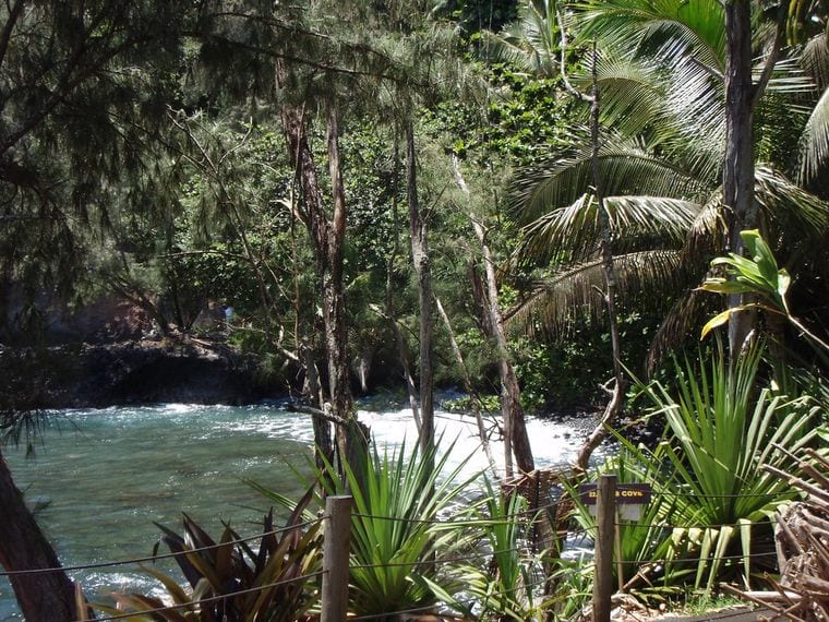 Hawaii Tropical Bioreserve & Garden