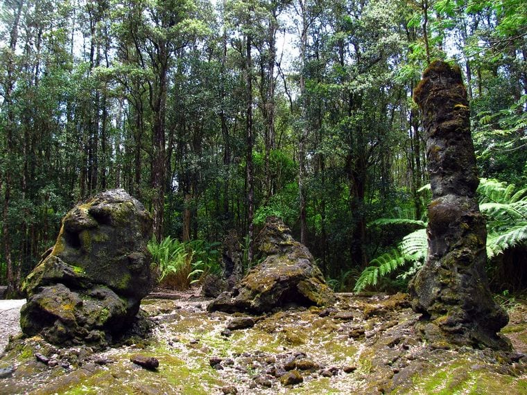 Lava Tree State Monument