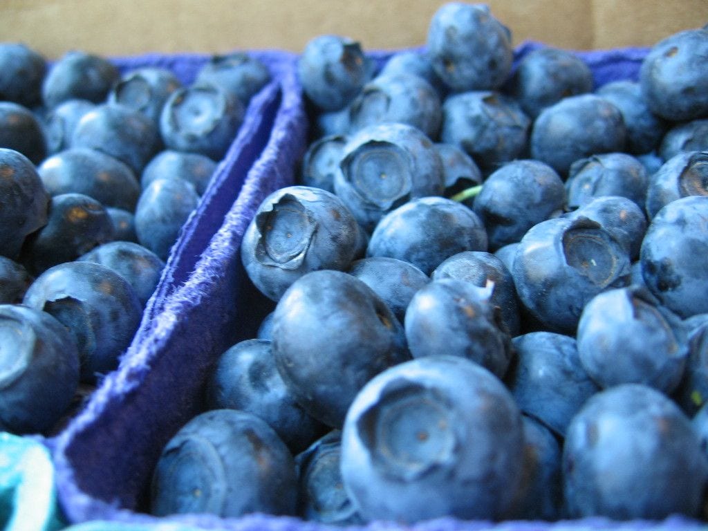 Bowerman Blueberries Farm Market, Holland, Michigan