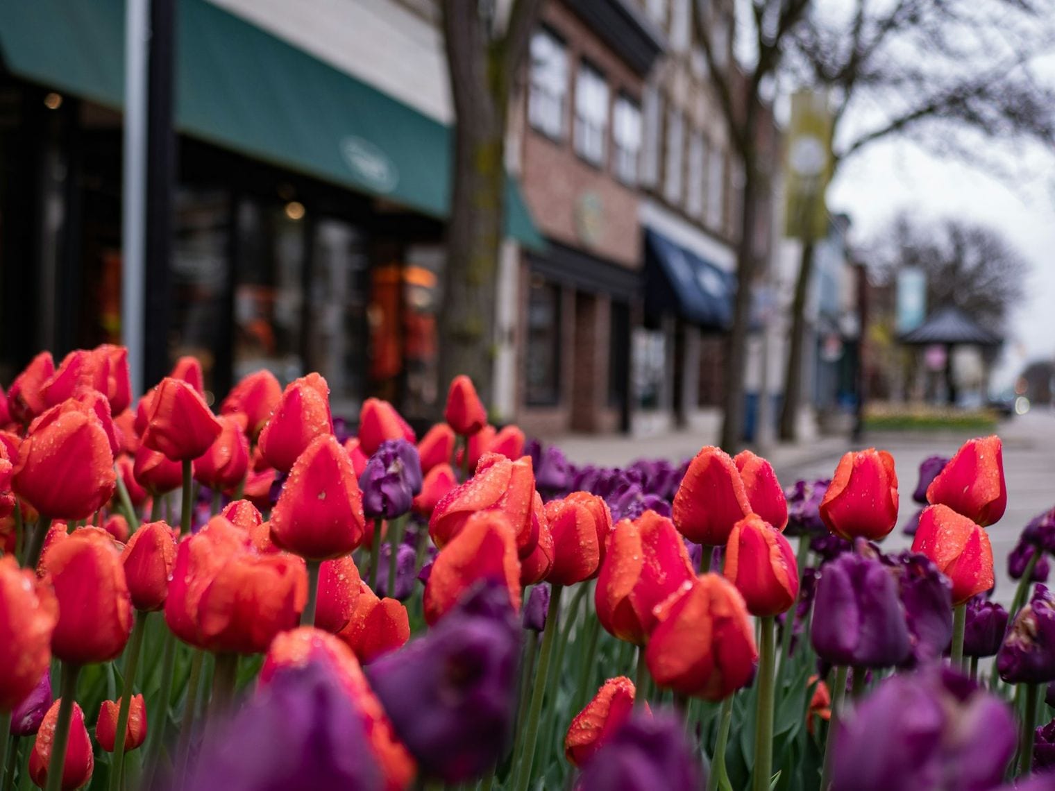 Window on the Waterfront, Holland, Michigan