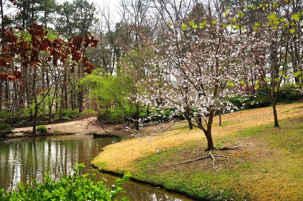 Garvan Woodland Gardens, Hot Springs, Arkansas