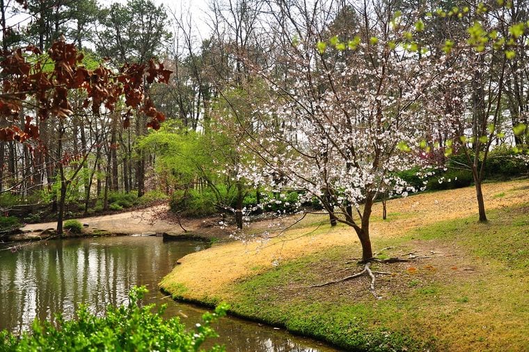 Garvan Woodland Gardens