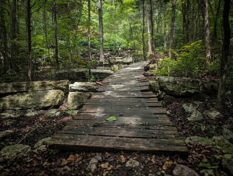 Monte Sano Nature Preserve (Bankhead Trailhead)