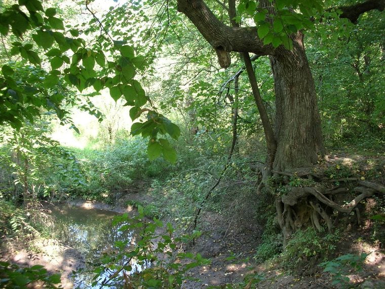 Hickory Hill Park