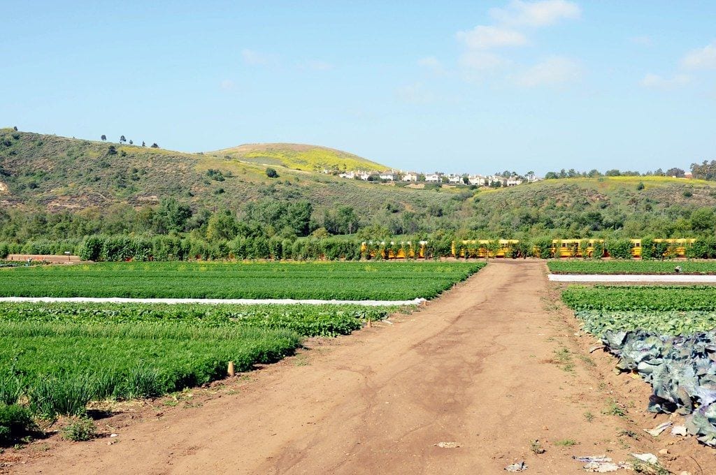 Tanaka Farms, Irvine, California