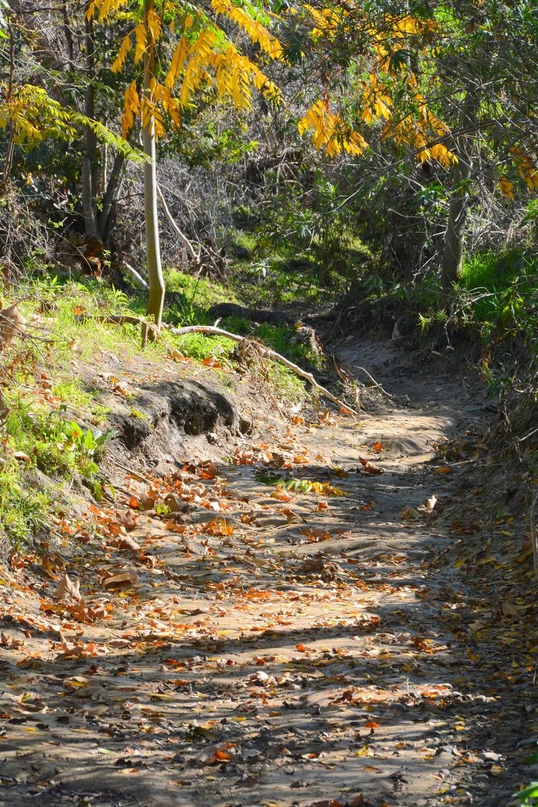 William R. Mason Regional Park