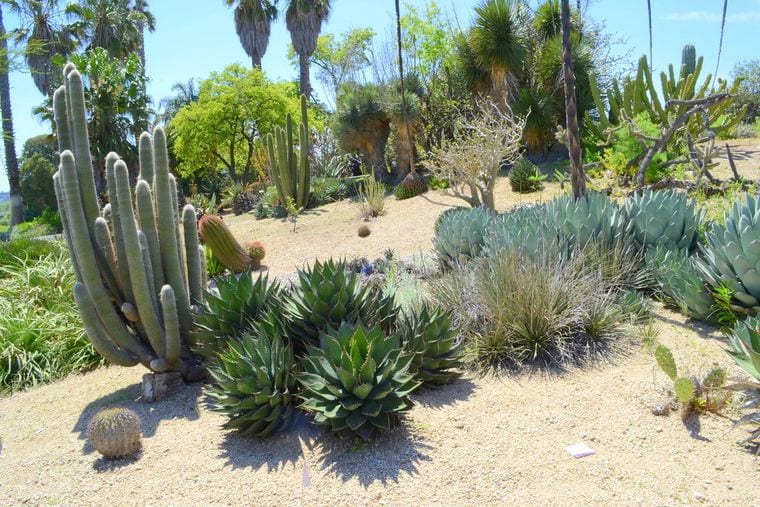 Botanical Gardens