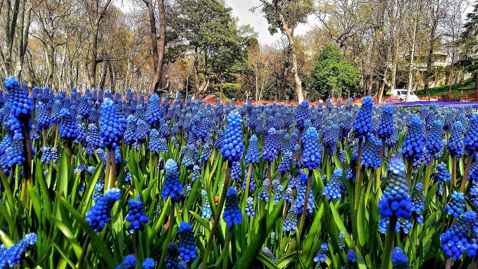 Gülhane Park, Turkey