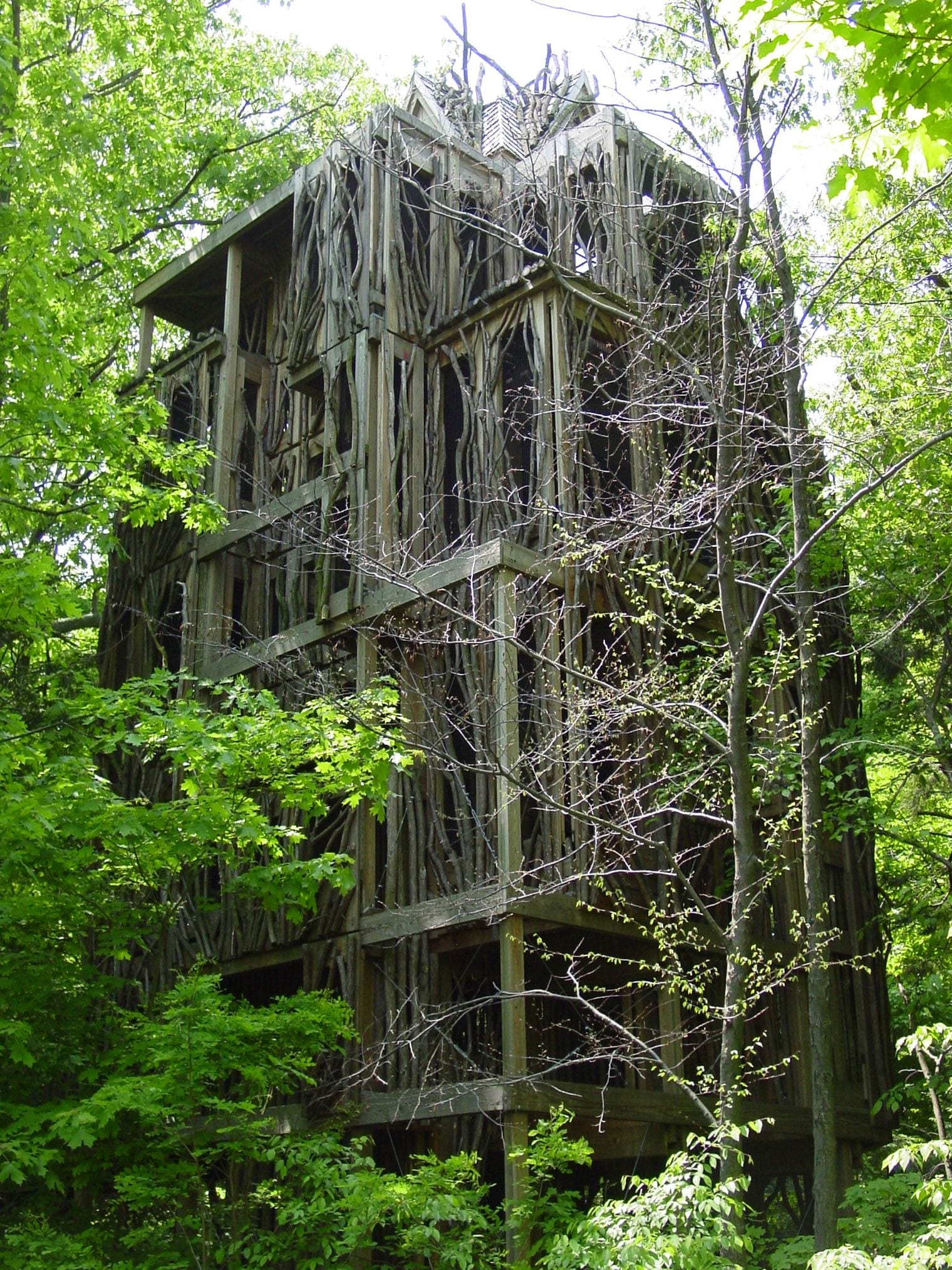 What to do in Ithaca NY