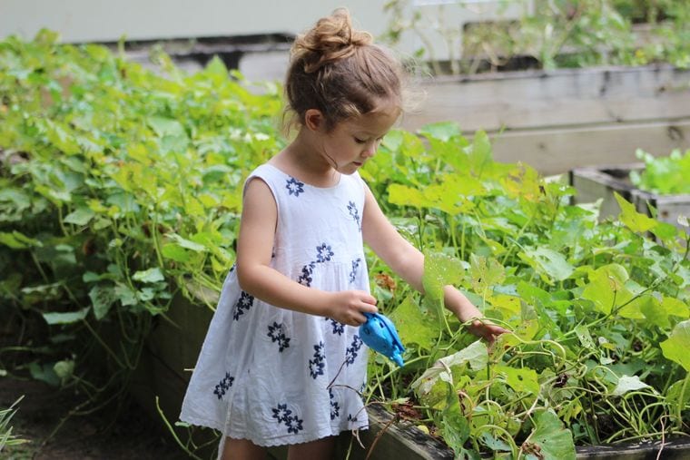 Ithaca Children’s Garden