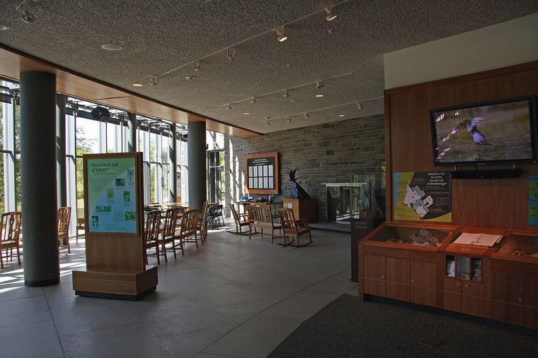 Cornell Lab of Ornithology