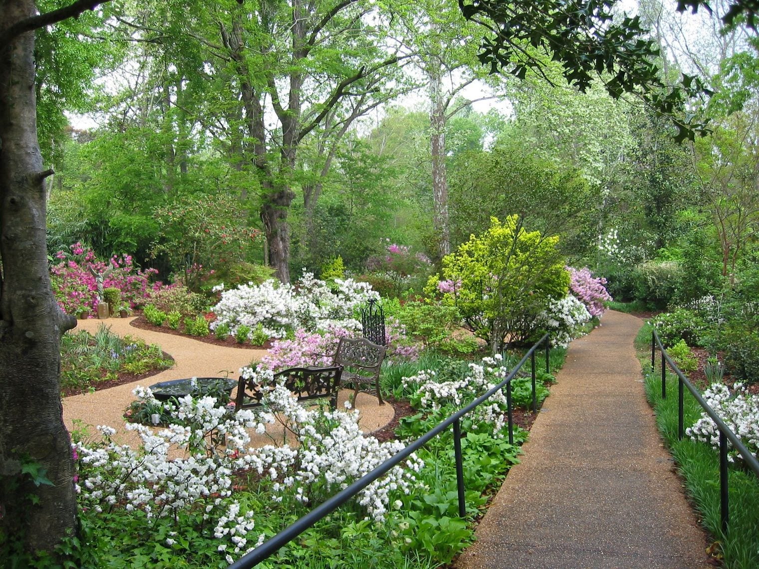 Mynelle Gardens Arboretum and Botanical Center, Jackson, Mississippi