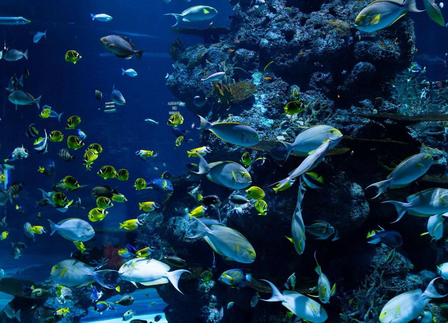New Jersey SEA LIFE Aquarium