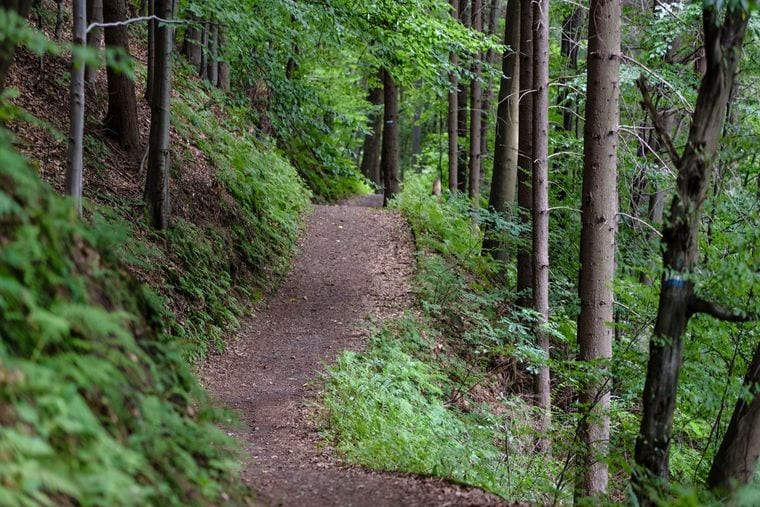 Jacob’s Nature Park