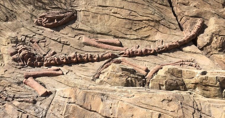 Gray Fossil Site