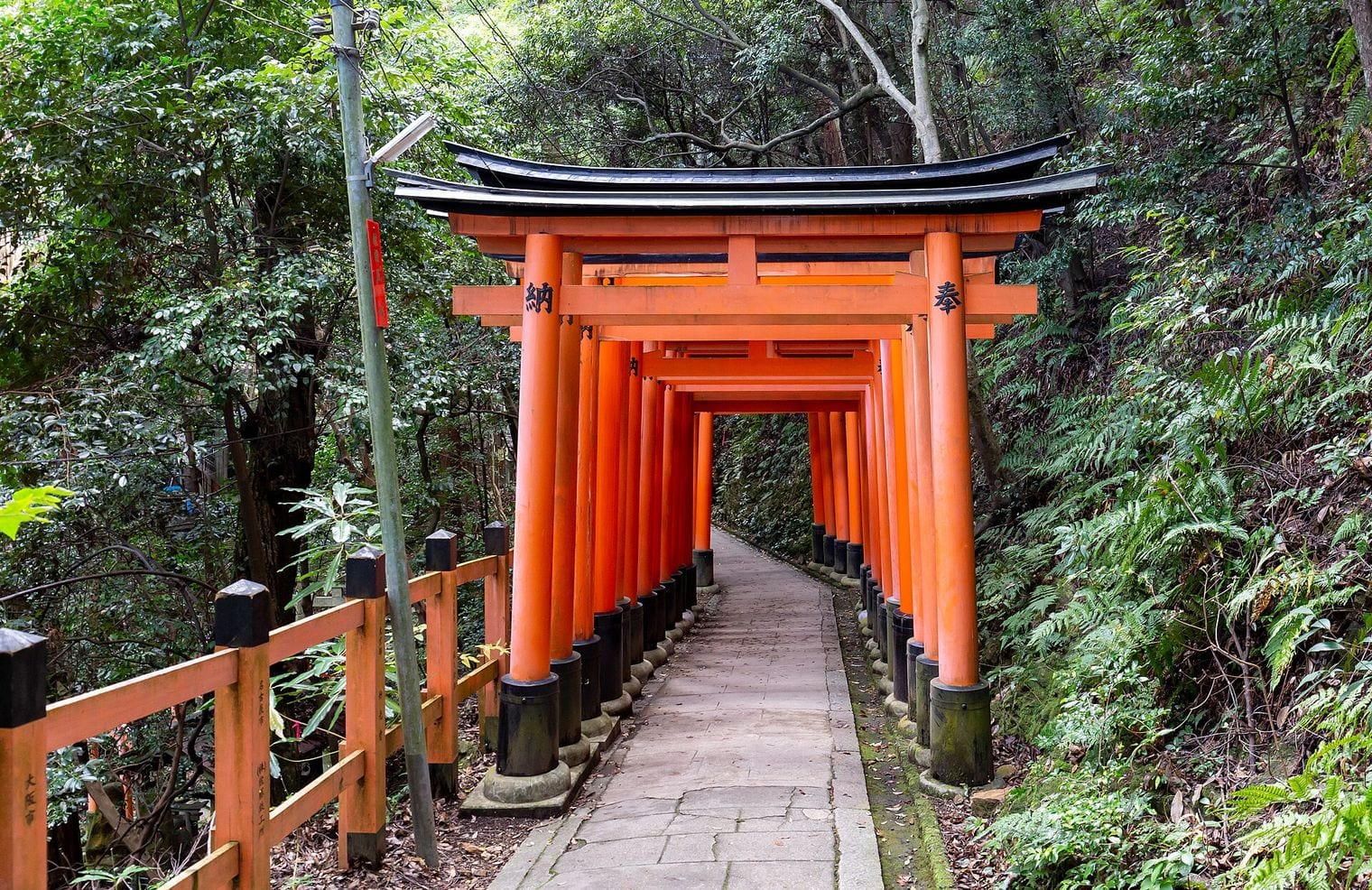 Fushimi Inari Taisha, Japan