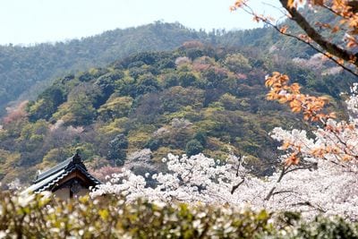 Tenryu-ji