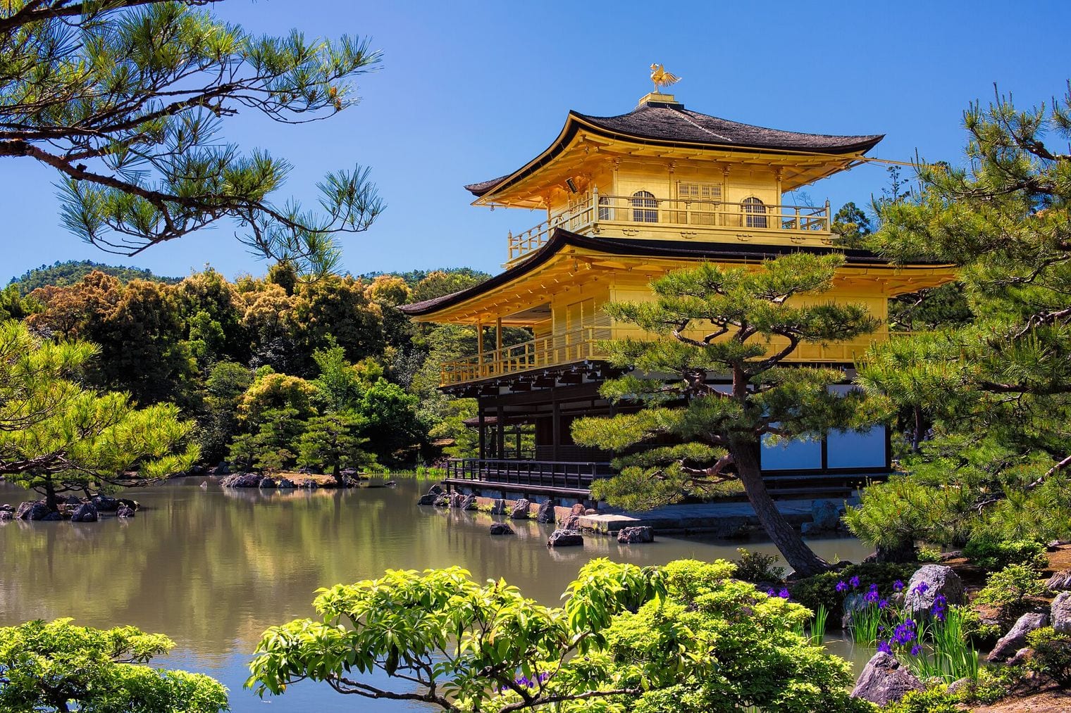 Kinkaku-ji, Japan