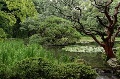 Heian-jingū Shrine