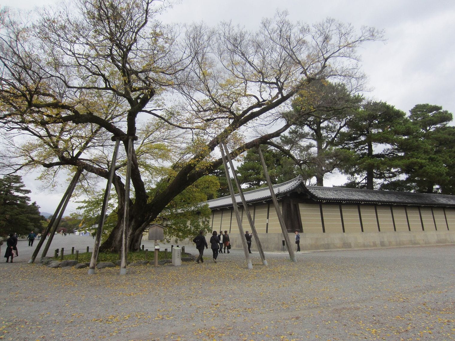 Kyoto Gyoen National Garden, Japan