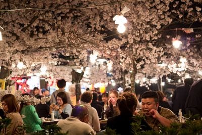 Maruyama Park