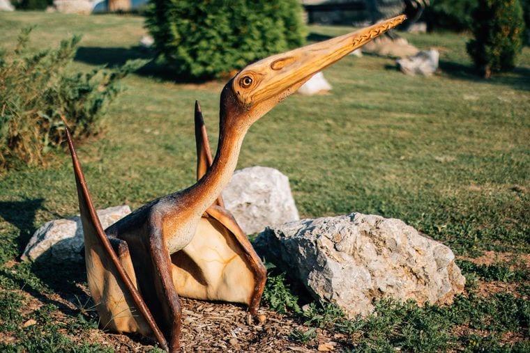 Prehistoric Park