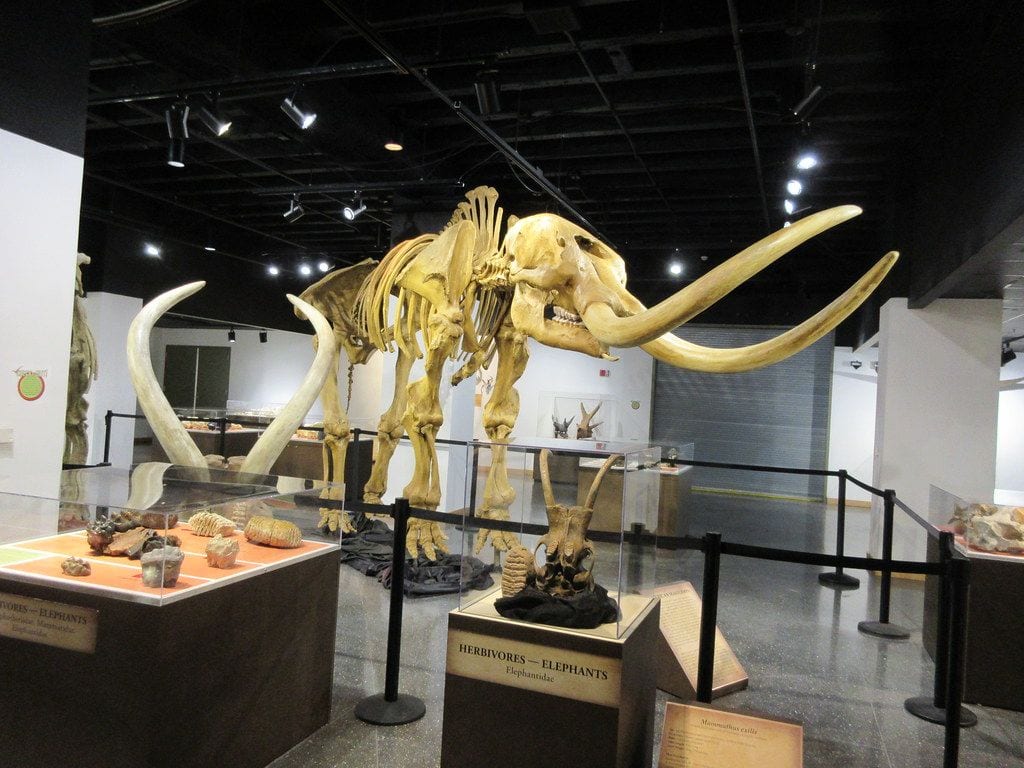 Lafayette Science Museum