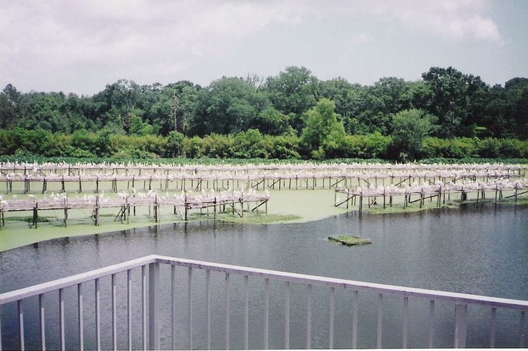 Acadiana Park Nature Station