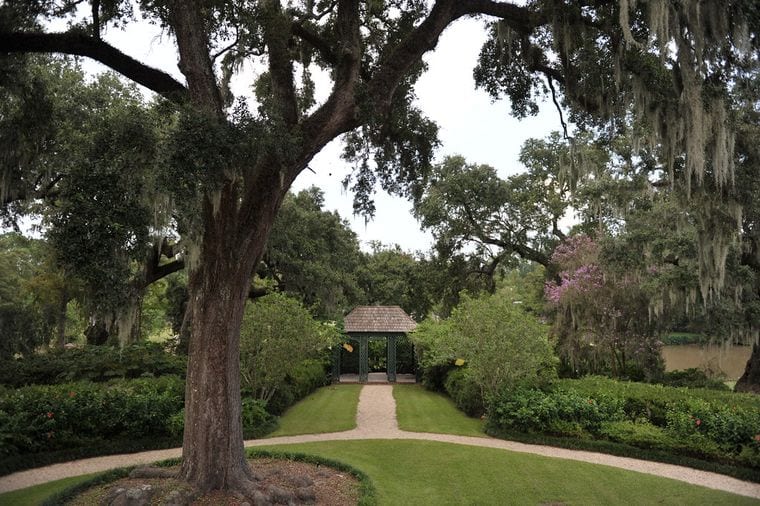 Shadows-on-the-Teche