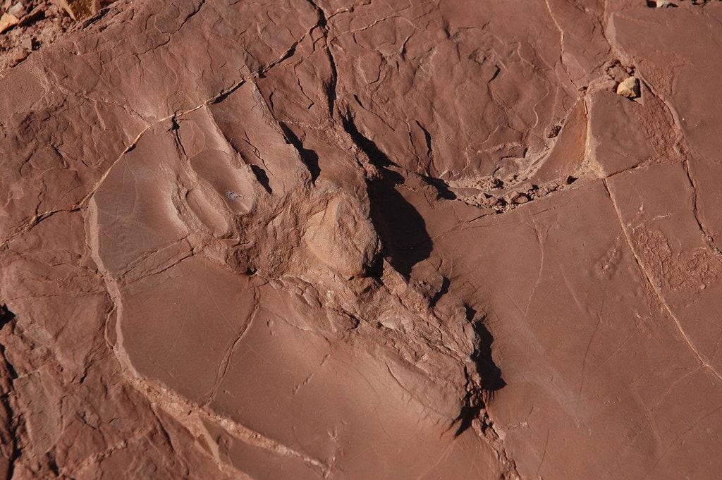 Prehistoric Trackways National Monument, Las Cruces, New Mexico