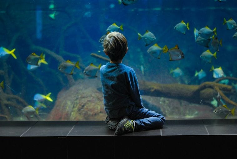 Medicine Park Aquarium and Natural Sciences Center
