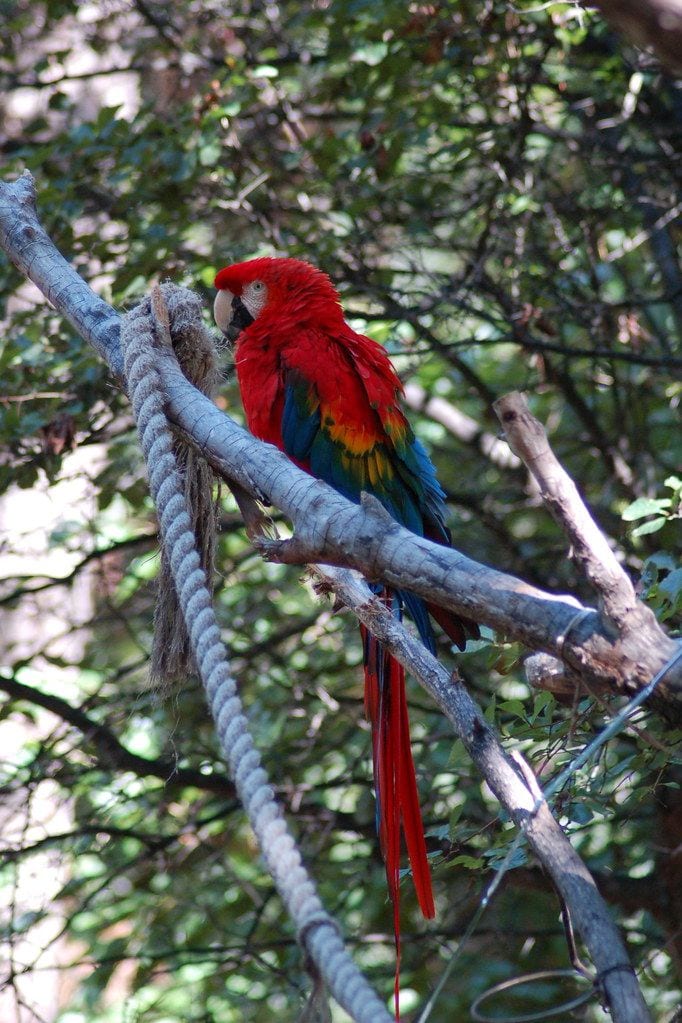 Lincoln Children’s Zoo, Lincoln, Nebraska