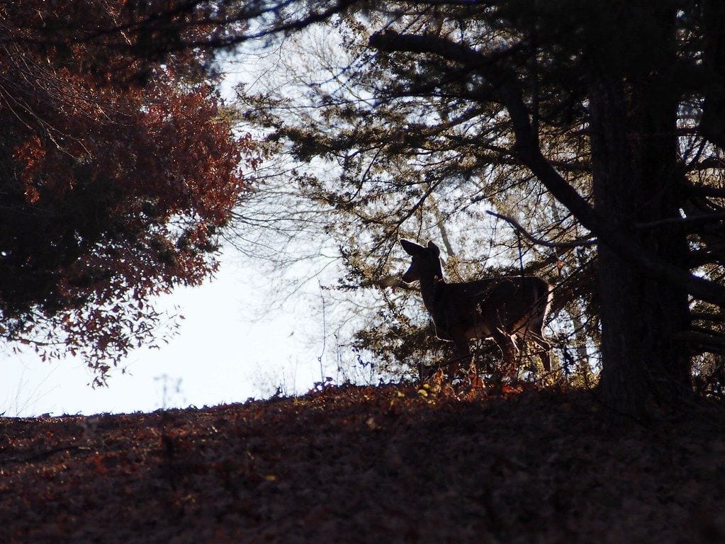 Mahoney Park, Lincoln, Nebraska