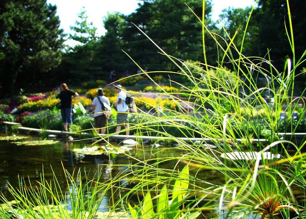 Sunken Gardens, Lincoln, Nebraska