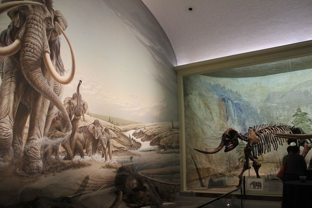 University of Nebraska State Museum – Morrill Hall, Lincoln, Nebraska