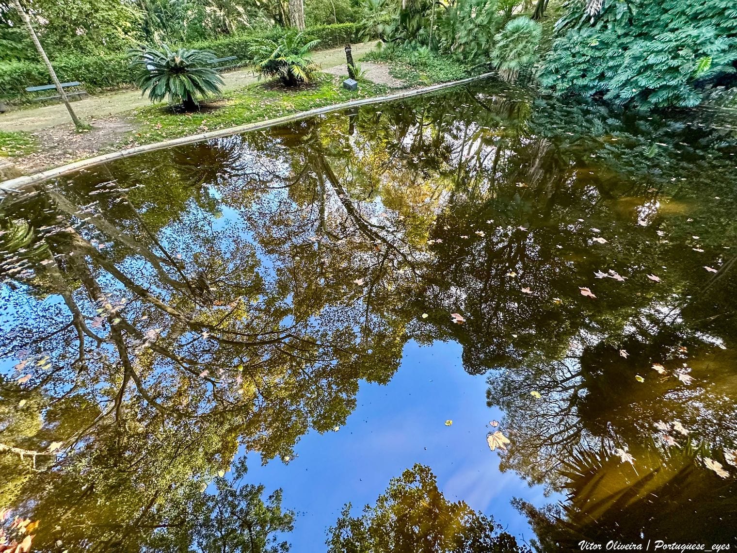 Botanical Garden of Lisbon, Portugal