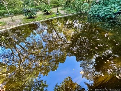 Botanical Garden of Lisbon