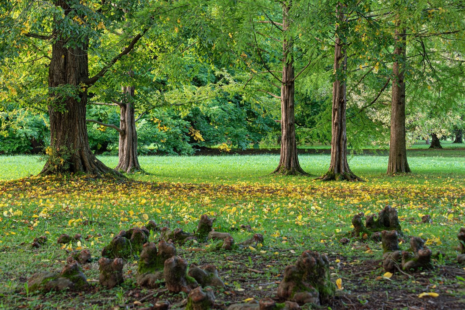 Tivoli Park, Slovenia