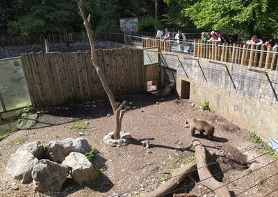 Ljubljana Zoo