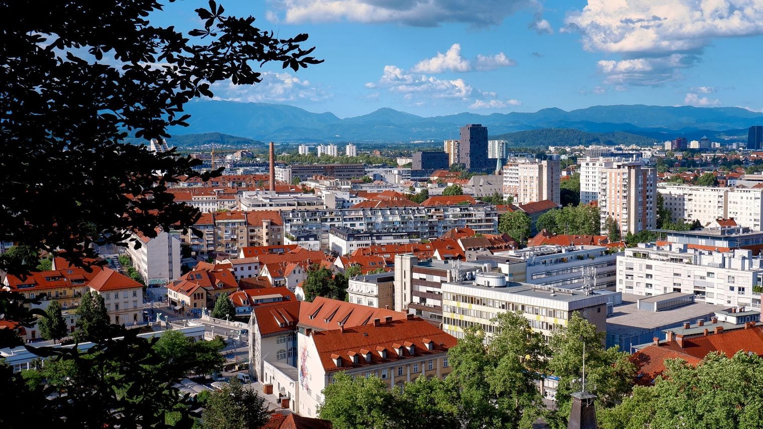 A high view over Ljubljana red-tiled rooftops framed by chestnut leaves, with apartment towers and wooded hills rising to mountains on the horizon