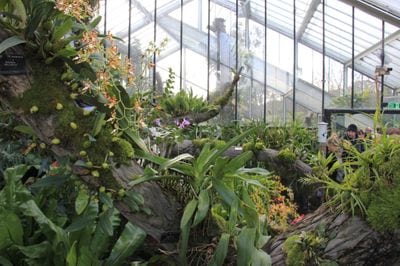 Royal Botanic Gardens, Kew
