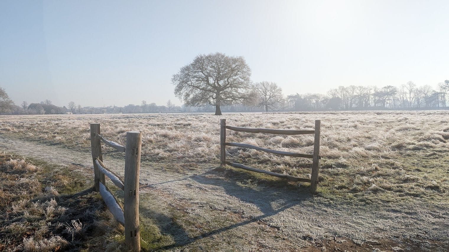 Richmond Park, England