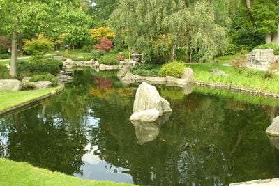 Kyoto Garden