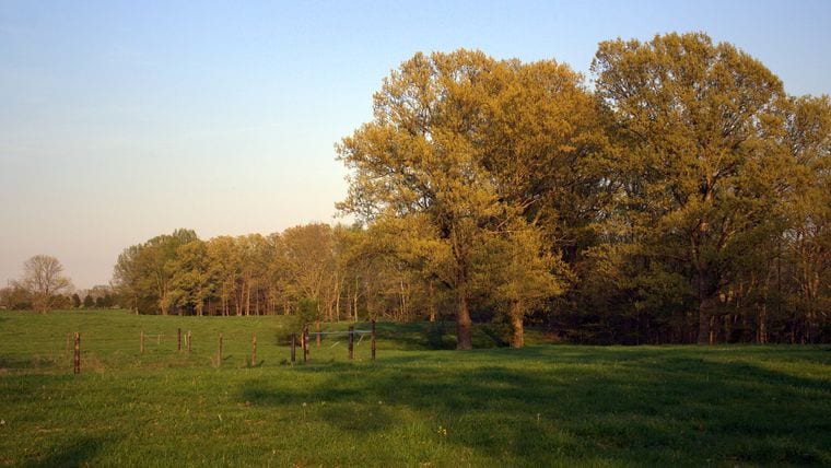 The Parklands of Floyds Fork